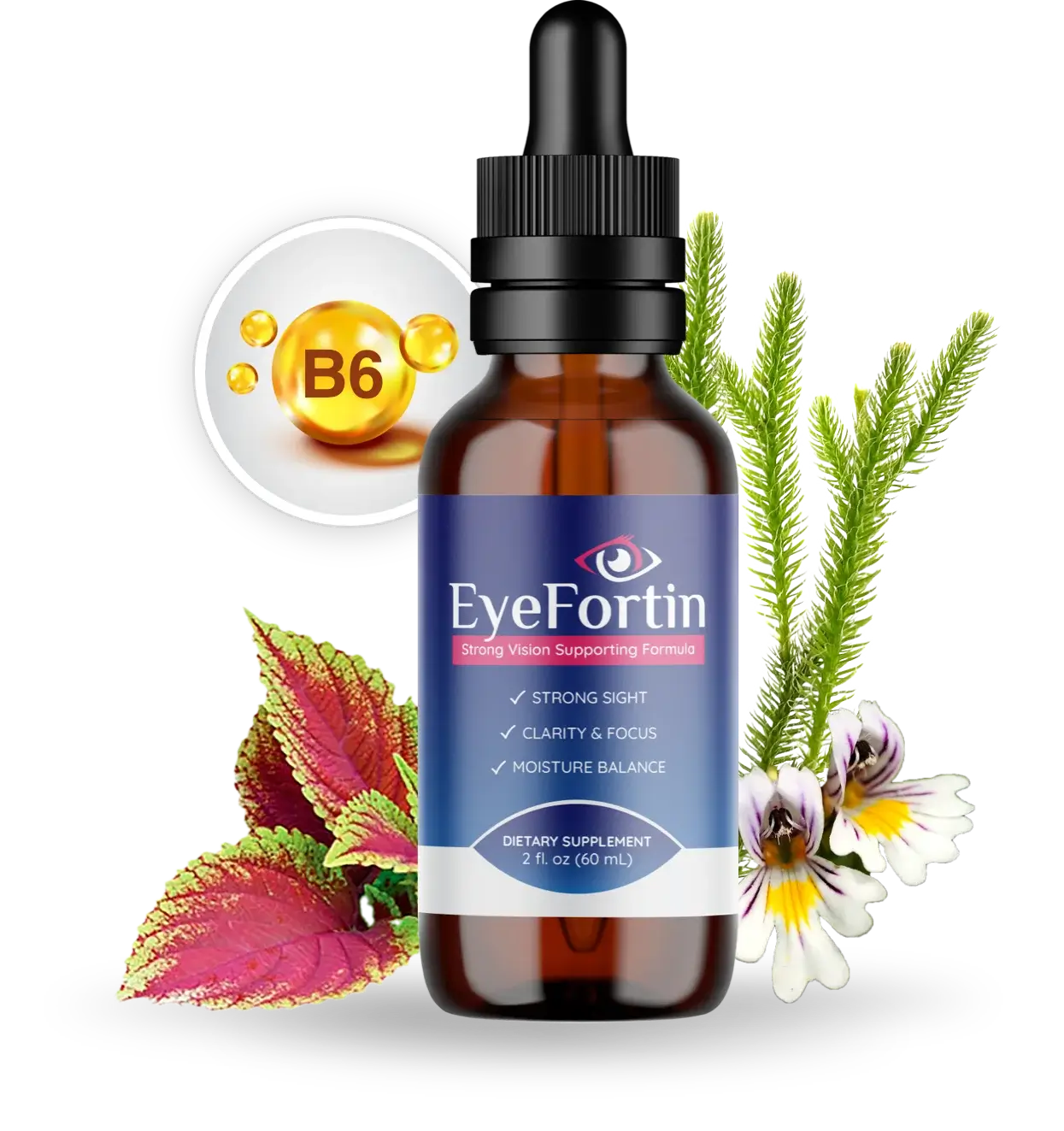 Eyefortin Formula